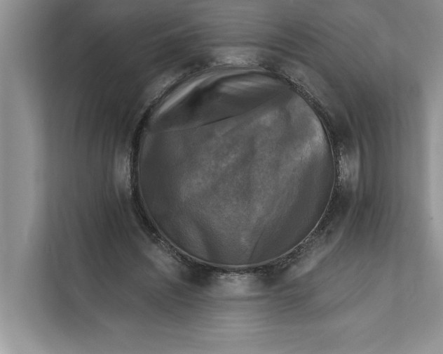 X0000111480444200908041125