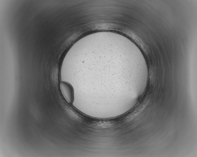 X0000111480445200908041125