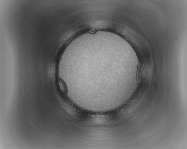 X0000111480448200908041125
