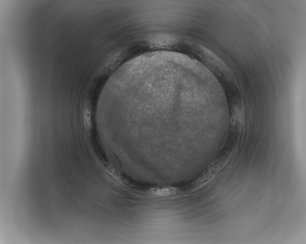 X0000111480452200908041125