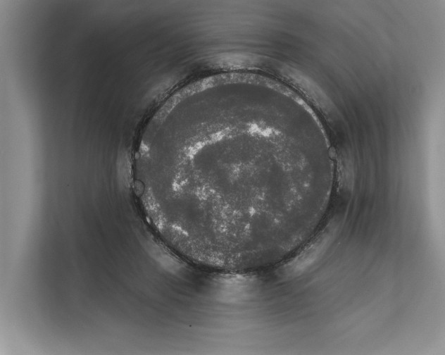 X0000111480453200908041125
