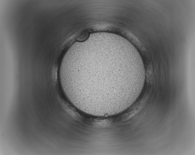 X0000111480454200908041125