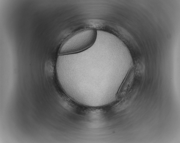 X0000111480456200908041125
