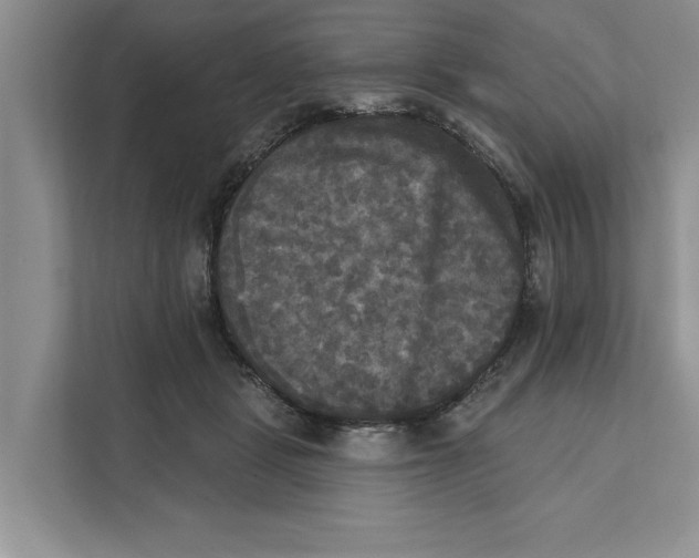 X0000111480461200908041125