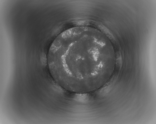 X0000111480469200908041125