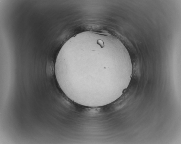 X0000111480474200908041126