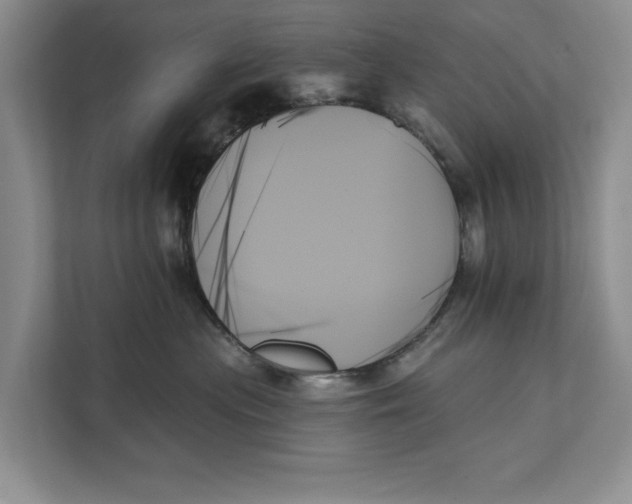 X0000111480477200908041126