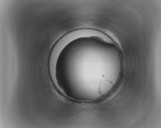 X0000111480481200908041125