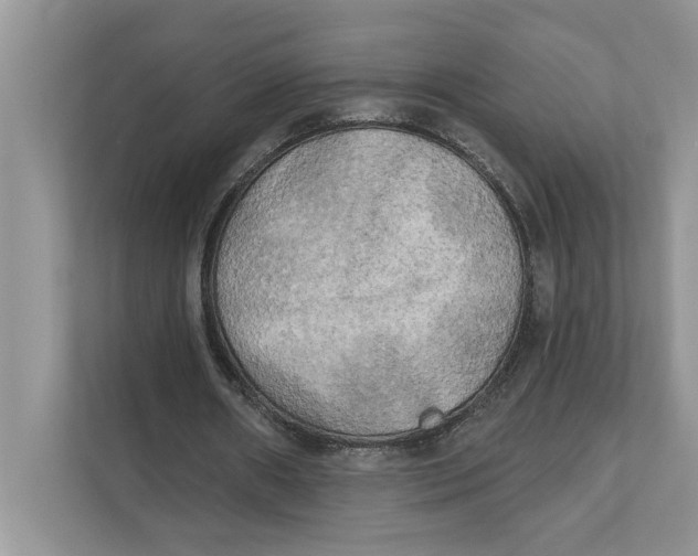 X0000111480482200908041125