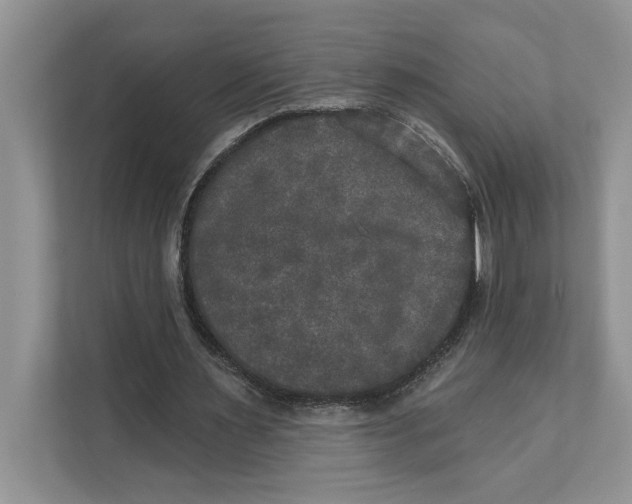 X0000111480483200908041125