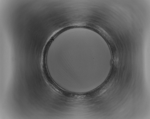 X0000111480484200908041125