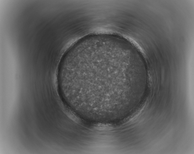 X0000111480487200908041125