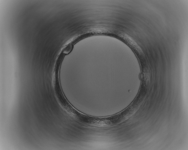 X0000111480488200908041125