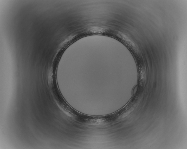 X0000111480492200908041125