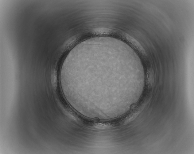 X0000111480494200908041125