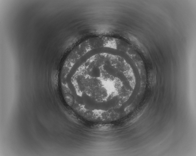 X0000111480495200908041125
