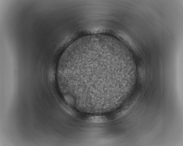 X0000111480499200908041125