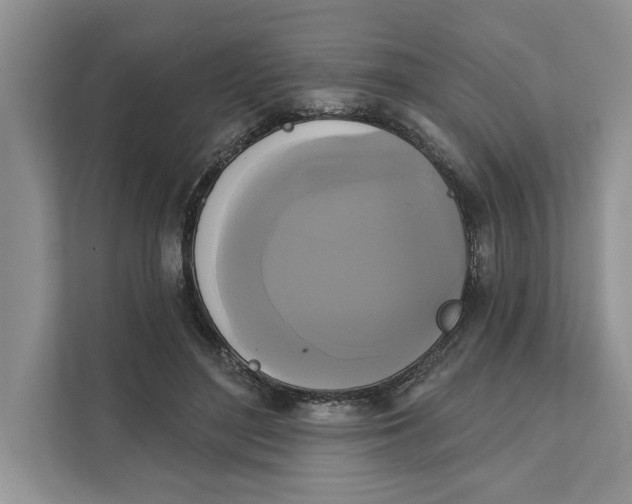 X0000111480500200908041125