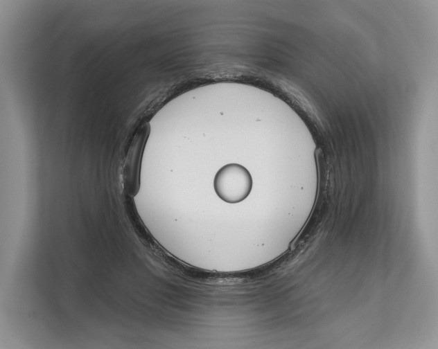 X0000111480501200908041125