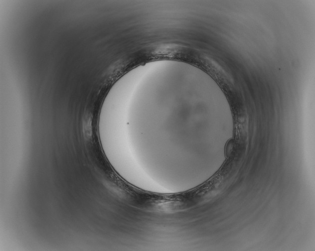 X0000111480504200908041125