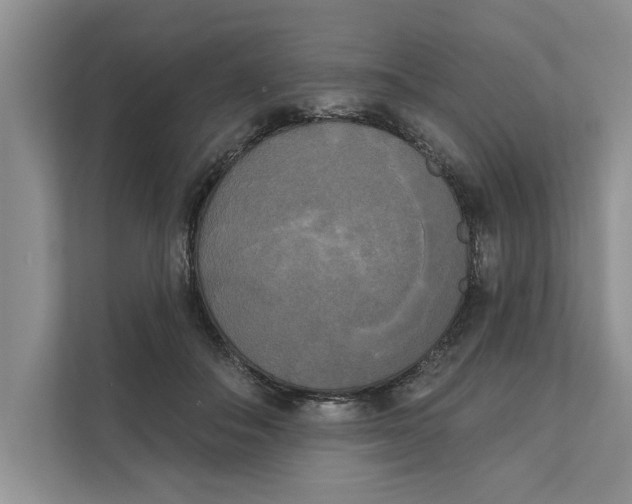 X0000111480506200908041125