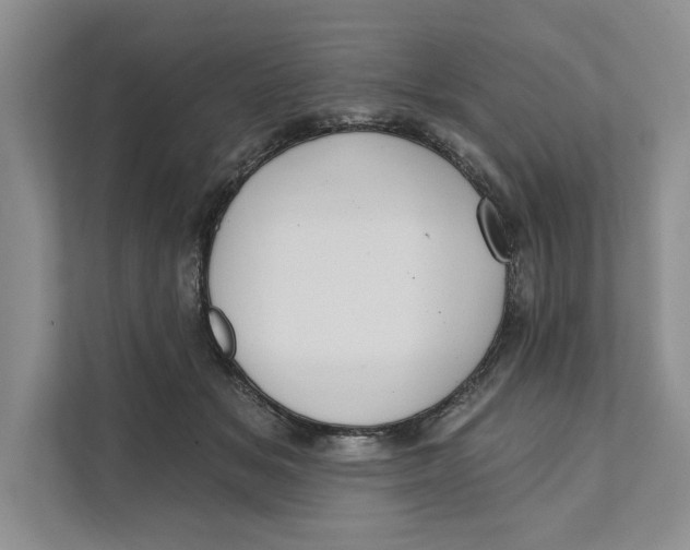 X0000111480509200908041125