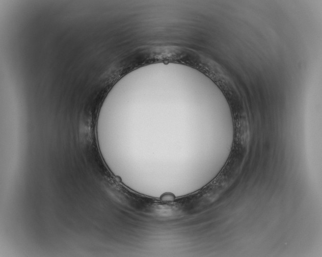 X0000111480510200908041125
