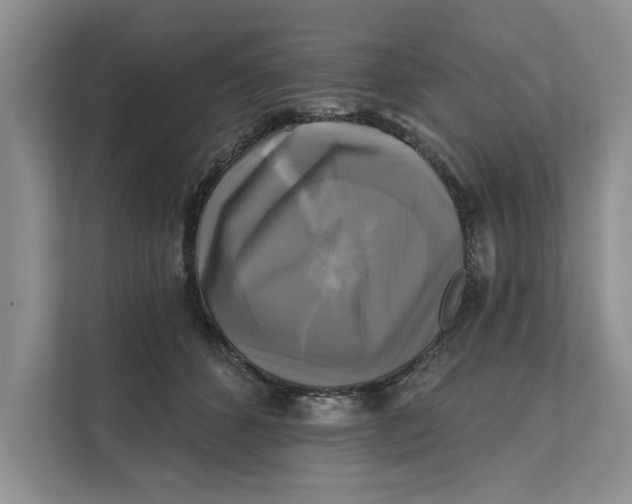 X0000111480512200908041125
