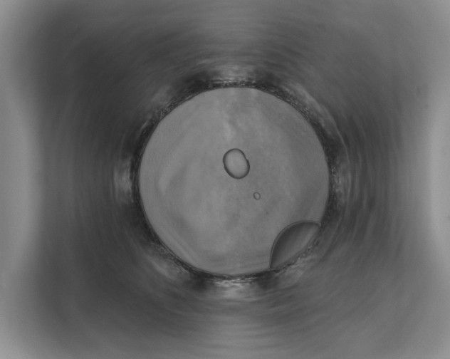 X0000111480516200908041125