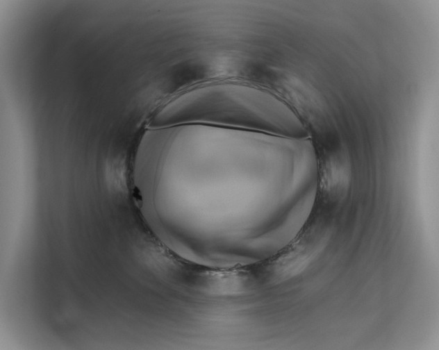 X0000111480524200908041124