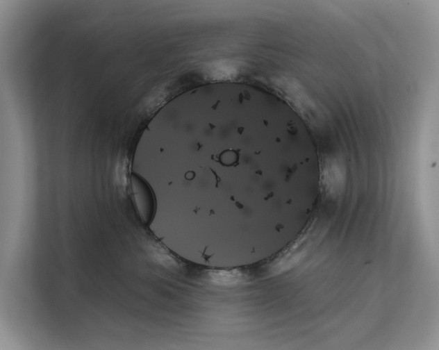 X0000111480525200908041124