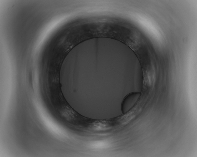 X0000111480526200908041124