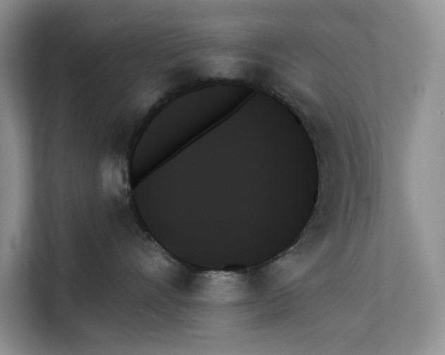 X0000111480528200908041124