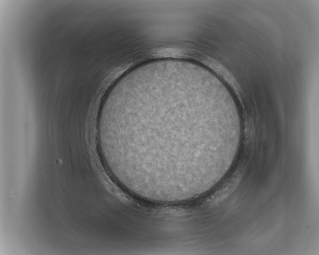 X0000111480529200908041124