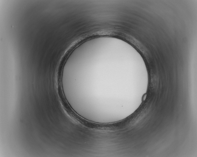 X0000111480530200908041124