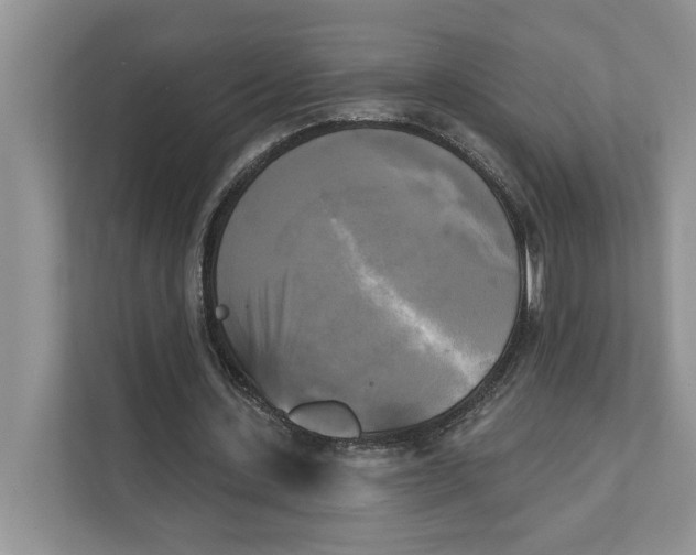 X0000111480531200908041124