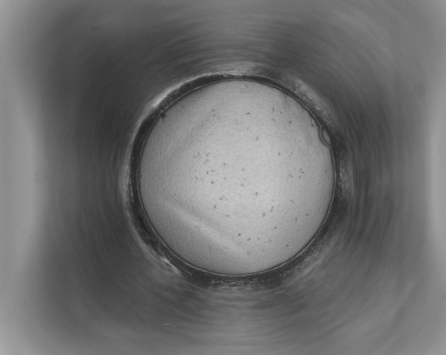 X0000111480532200908041124