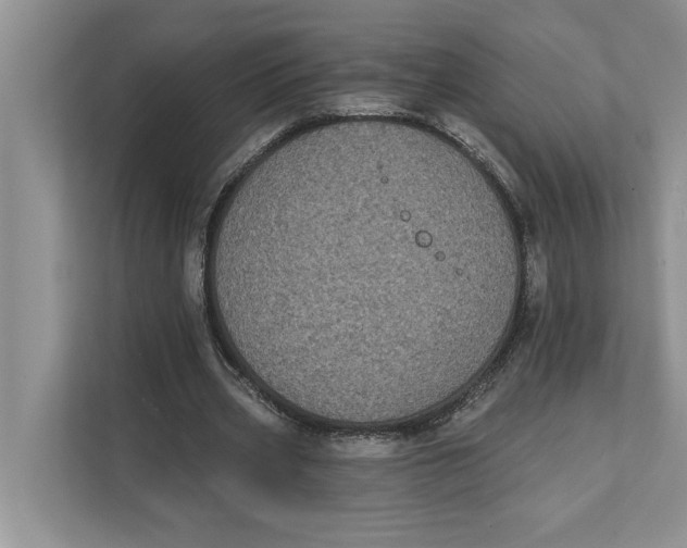 X0000111480533200908041124