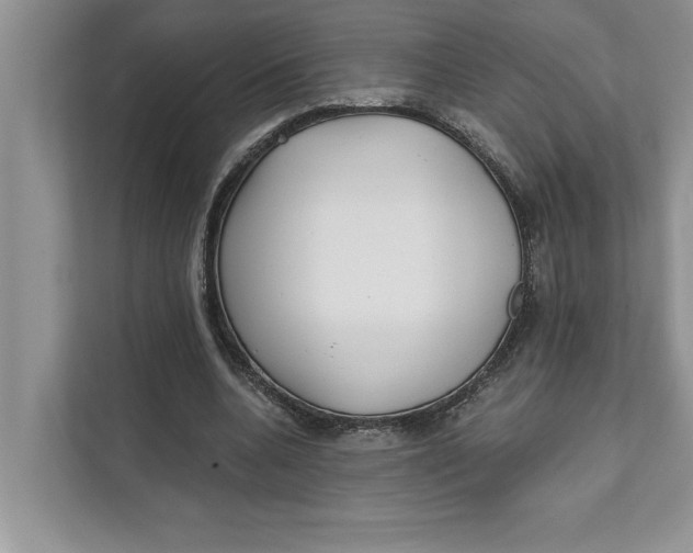 X0000111480536200908041124