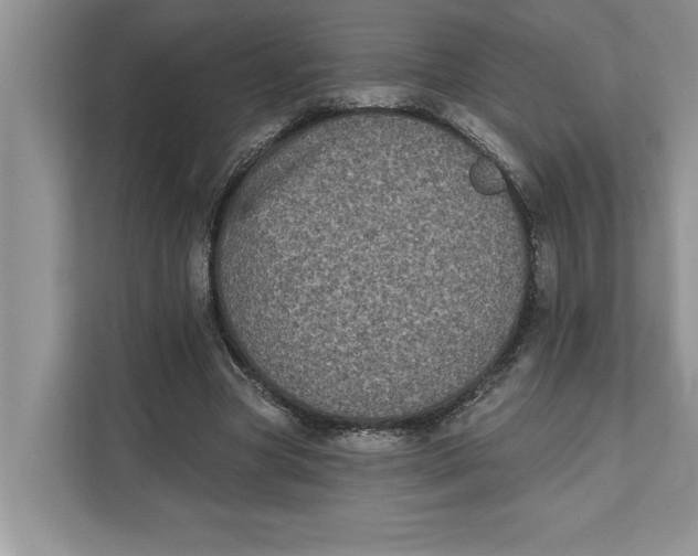 X0000111480537200908041124