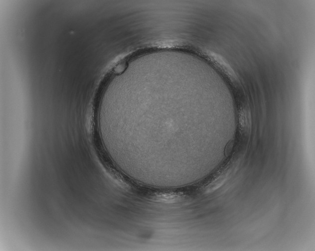 X0000111480540200908041124