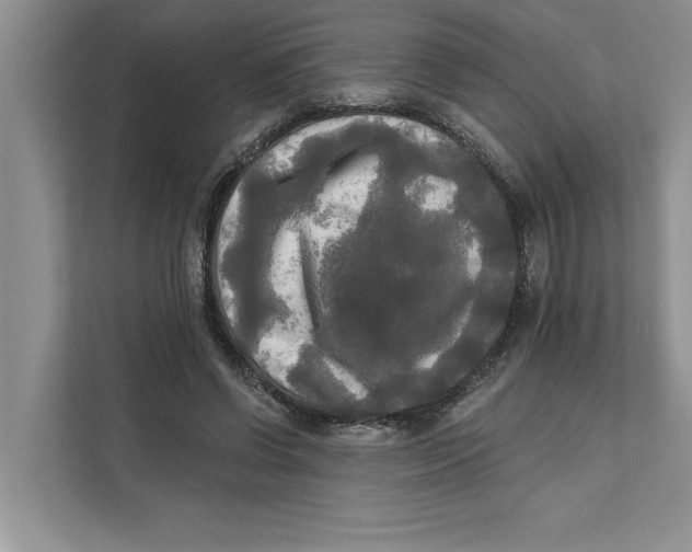 X0000111480542200908041124
