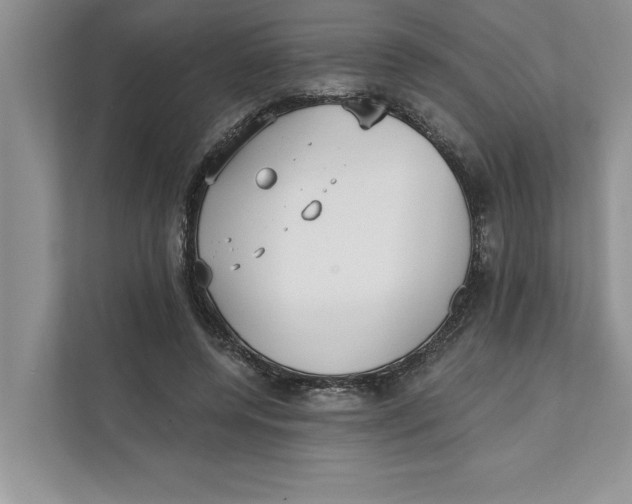 X0000111480544200908041124