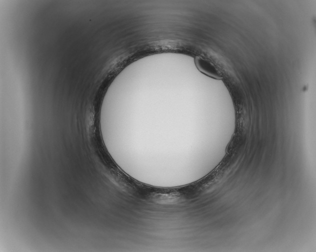 X0000111480548200908041124