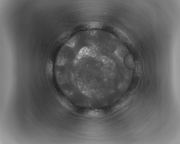 X0000111480550200908041124