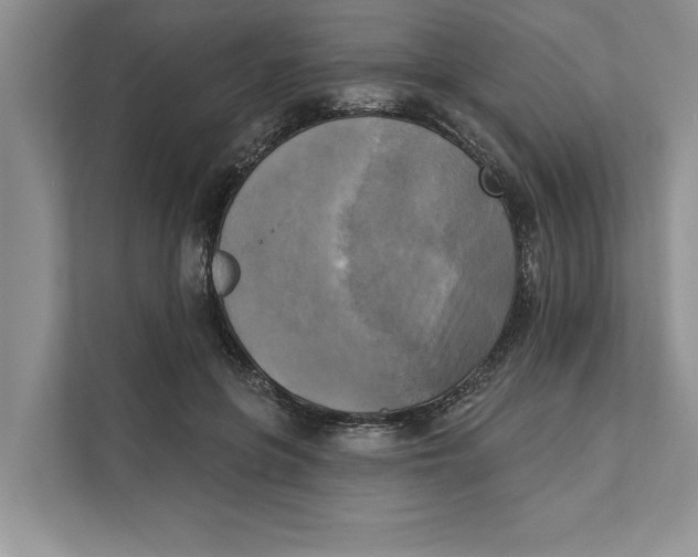 X0000111480551200908041124