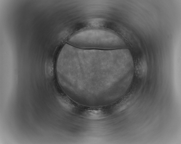 X0000111480552200908041124