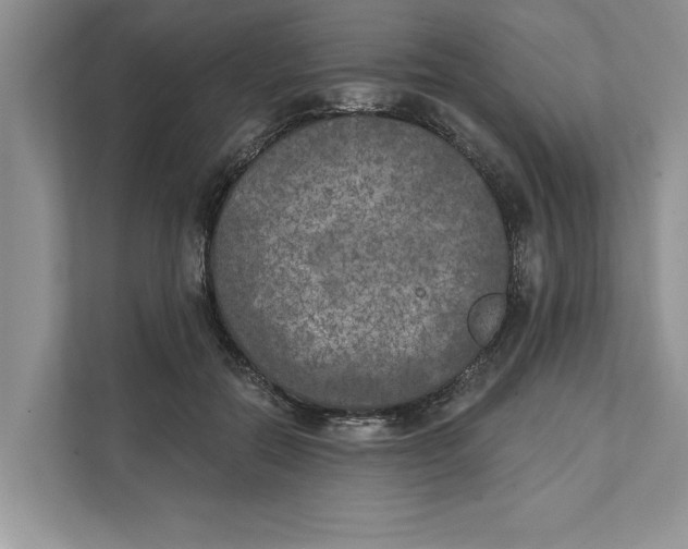 X0000111480554200908041124