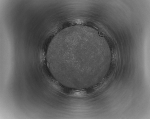 X0000111480555200908041124