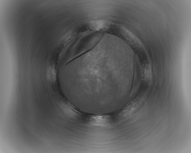X0000111480558200908041124